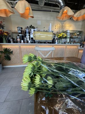 Magdalena Coffee & Houseplants by null