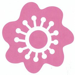 Two Moms Estate Sales