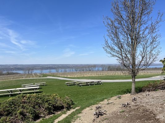 Lamoreaux Landing Wine Cellars by null