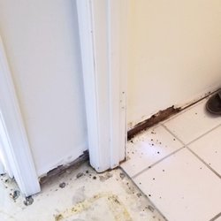 Clear Air Solutions - Mold growing from leak within the wall (customer submitted photo).