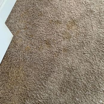 Sam's Carpet Services - Before cleanup 1 - Carpet Cleaning Near Me - Rocklin, California Sam's Carpet Services - Before cleanup 1 - Carpet Cleaning Near Me - Rocklin, California