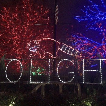 ZooLights - Zoos Near Me - Washington, DC, District of Columbia