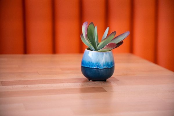 LJ’s Lil’ Cafe by null