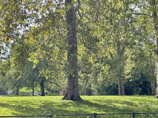 St. James's Palace by null