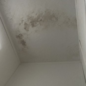 Suncrest Homes - moldy ceiling in bathroom - Mobile Home Dealers Near Me - Zephyrhills, Florida Suncrest Homes - moldy ceiling in bathroom - Mobile Home Dealers Near Me - Zephyrhills, Florida