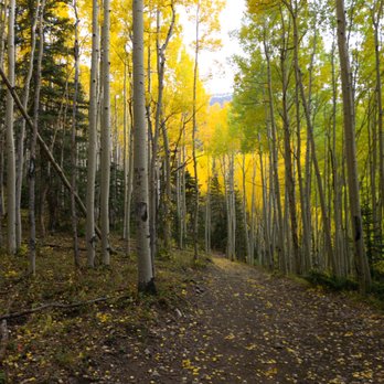 San Juan Hut Systems - Tours Near Me - Ridgway, Colorado San Juan Hut Systems - Tours Near Me - Ridgway, Colorado