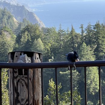 Nepenthe - The view - New American Near Me - Big Sur, California Nepenthe - The view - New American Near Me - Big Sur, California