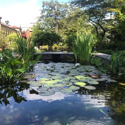 Sara Kerai Counseling + Evaluation - The Franciscan Monastery grounds are a lovely place for quiet reflection and meditation.