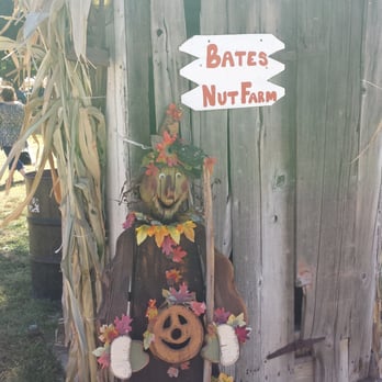 Bates Nut Farm - Outhouse - Specialty Food Near Me - Valley Center, California Bates Nut Farm - Outhouse - Specialty Food Near Me - Valley Center, California