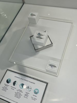 Tiffany & Co. by null