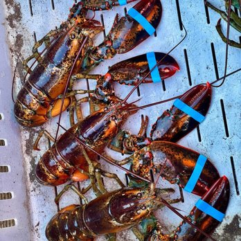 Matunuck Oyster Bar - RI Lobstahs - Seafood Near Me - South Kingstown, Rhode Island Matunuck Oyster Bar - RI Lobstahs - Seafood Near Me - South Kingstown, Rhode Island