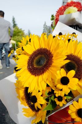 Bellevue Farmers Market by null