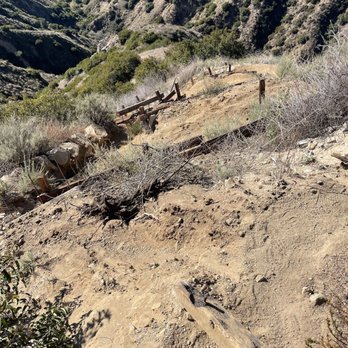 Wildwood Canyon Park - It's a winding trail. - Parks Near Me - Burbank, California