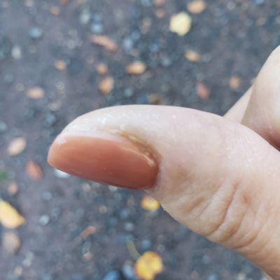 ENVY NAILS - 18 Photos & 13 Reviews - 833 W Trenton Ave, Morrisville