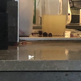 Starbucks - Look at this mess on plain view now imagine how is it deep inside. I don't even want to think about it. ‍ - Coffee & Tea Near Me - Yuma, Arizona