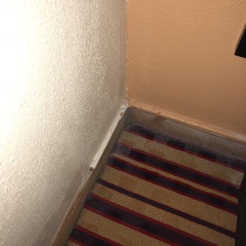 Quality Inn - Most dust and dirt - Hotels Near Me - Richmond Hill, Georgia