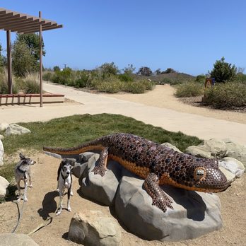Legacy Park - Lizard with my Italian greyhounds. - Parks Near Me - Malibu, California