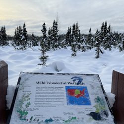 Earthquake Park