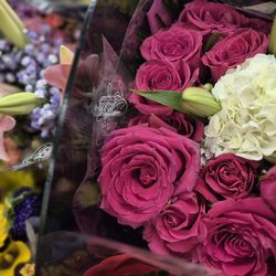 Ralphs - Flowers