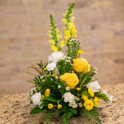 Sun Prairie Flowers By Hen and Chick