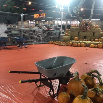 ABC Tree Farms - Pumpkins and cheap decor - Pumpkin Patches Near Me - San Jose, California