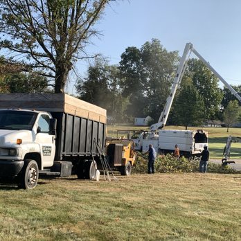 T & M Tree Services - Tree Services Near Me - Owensburg, Indiana T & M Tree Services - Tree Services Near Me - Owensburg, Indiana