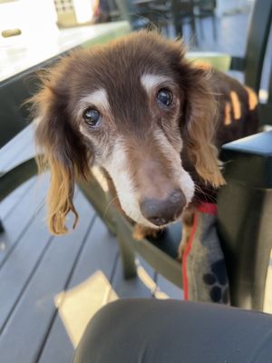 Java Rock Coffee House & Cafe by null