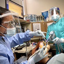 Chad T Kawashima, DDS - Oldest dino cleaning
