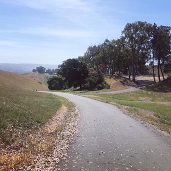 Children's Memorial Grove - Parks Near Me - Castro Valley, California Children's Memorial Grove - Parks Near Me - Castro Valley, California