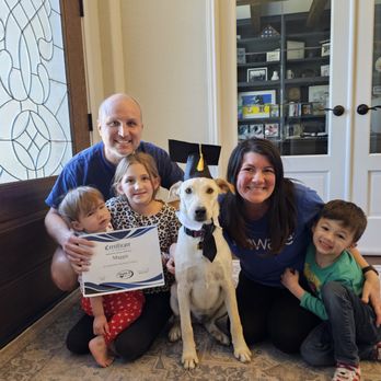 Double D Dog Training - Pet Training Near Me - San Antonio, Texas Double D Dog Training - Pet Training Near Me - San Antonio, Texas