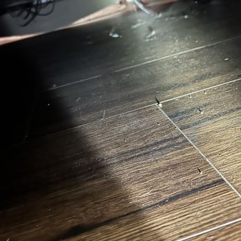 Molly Maid of San Antonio - Under the bed. The entire floor under the bed is like this. - Home Cleaning Near Me - San Antonio, Texas