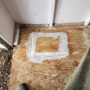 The Bees Knees - Post-removal: the newly-sealed shed floor - Pest Control Near Me - Kagel Canyon, California The Bees Knees - Post-removal: the newly-sealed shed floor - Pest Control Near Me - Kagel Canyon, California