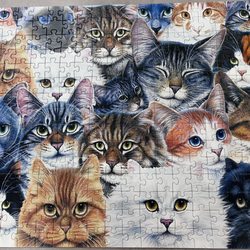 Ten Broeck Center for Rehabilitation & Nursing - Jigsaw puzzle