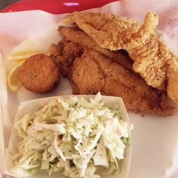 Catfish