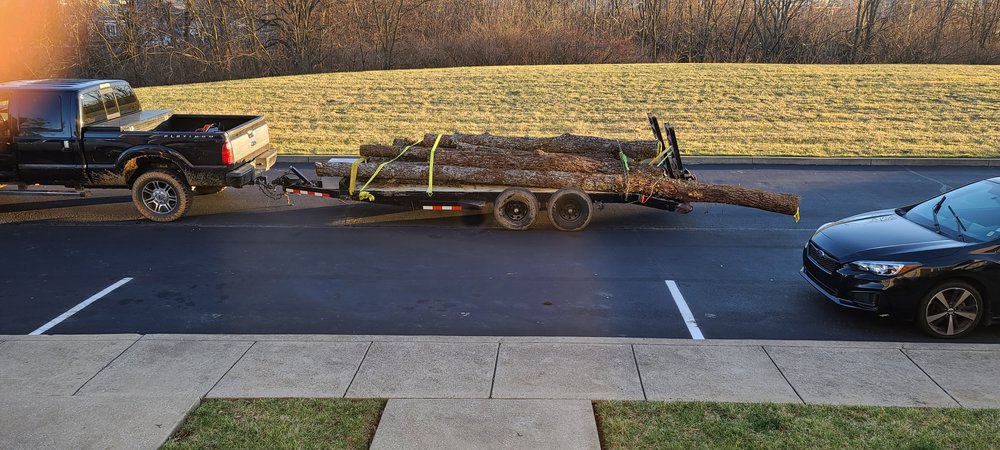 Central Ky Tree Service - tree service in Lexington, KY