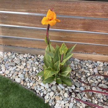 Rancho Valhalla Nursery - Nurseries & Gardening Near Me - El Cajon, California