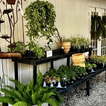 Corner Copia Gardens - Garden Center Corner Copia Baldwin County Al - Nurseries & Gardening Near Me - Fairhope, Alabama