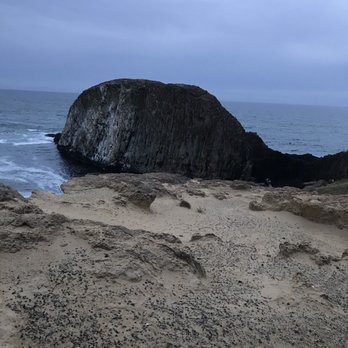 Seal Rock State Wayside - Elephant back? - Parks Near Me - Seal Rock, Oregon Seal Rock State Wayside - Elephant back? - Parks Near Me - Seal Rock, Oregon