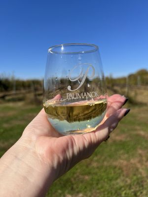 Paumanok Vineyards by null