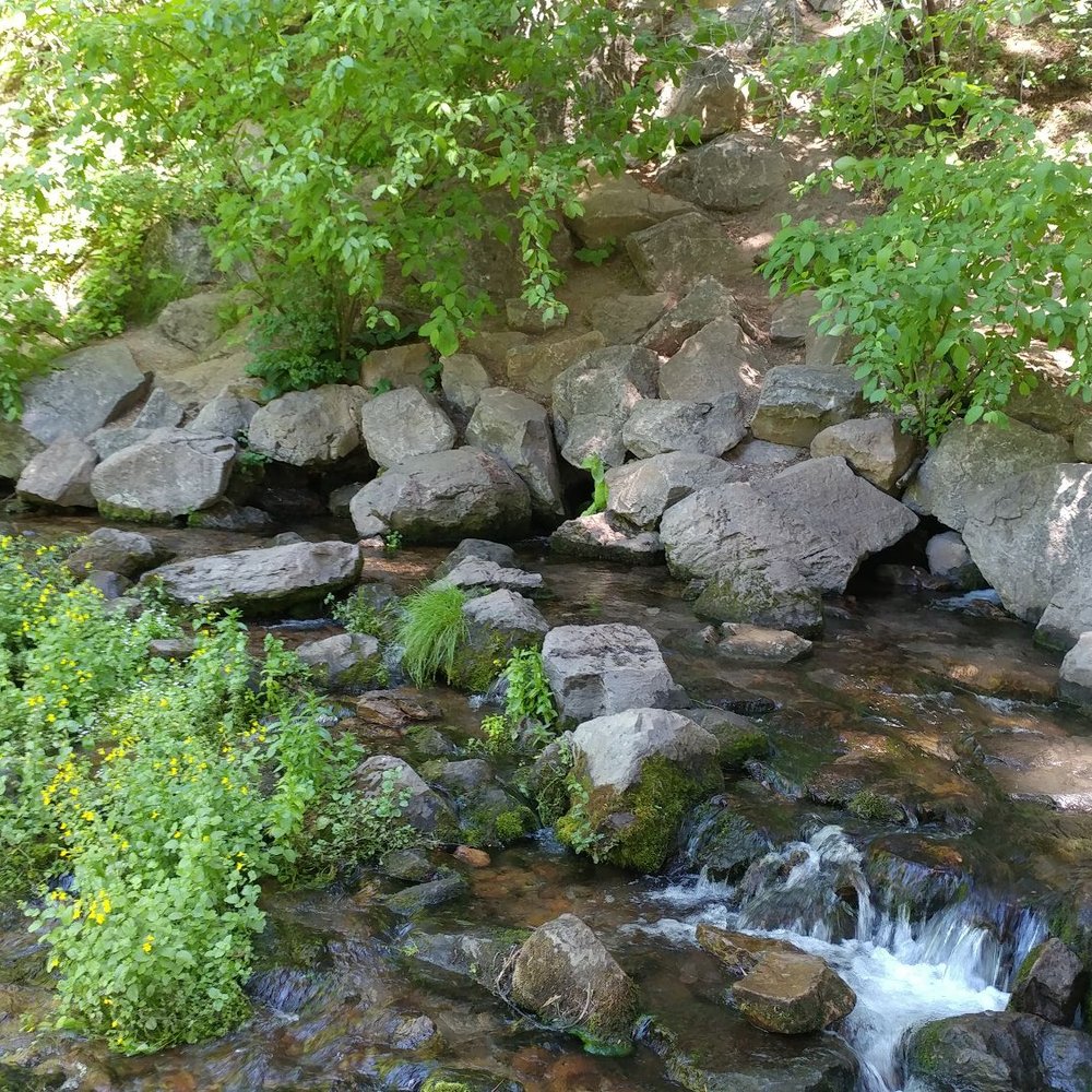 Headwaters Sacramento River Headwaters Sacramento River