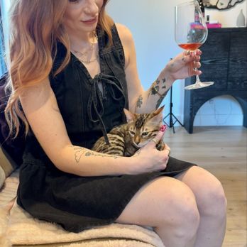 Artist Block Tasting Room - 2nd round of Bengal kitten wine tasting - Wine Tasting Room Near Me - Dundee, Oregon Artist Block Tasting Room - 2nd round of Bengal kitten wine tasting - Wine Tasting Room Near Me - Dundee, Oregon
