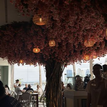 Cocina 35 - Bar area - Breakfast & Brunch Near Me - Coronado, California