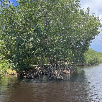 Flamingo Adventures - Boating Near Me - Homestead, Florida Flamingo Adventures - Boating Near Me - Homestead, Florida