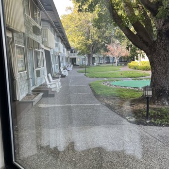 Best Western Corte Madera Inn - View from the room - Hotels Near Me - Corte Madera, California