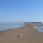Photo of Bradley Point Park