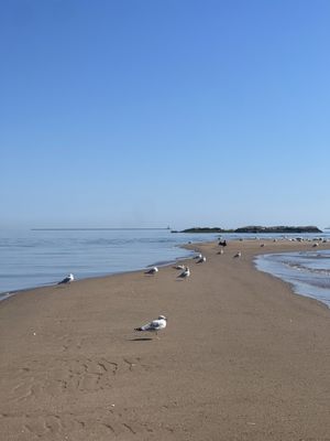 Bradley Point Park by null