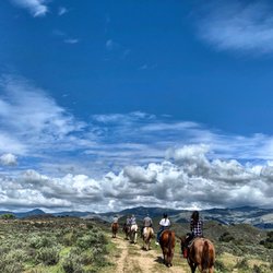 Vino Vaqueros Horseback Riding
