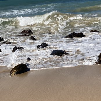 Paia Inn - Spot the turtle? - Hotels Near Me - Paia, Hawaii