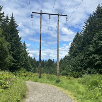 Forest Park - Refreshing views from the city - Parks Near Me - Portland, Oregon