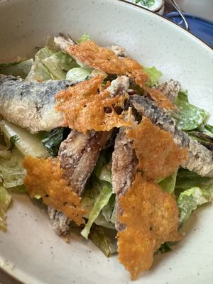 Fisch & Flore by null